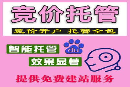 某科技公司SEM优化实践：从数据看效果提升